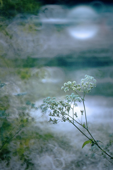 Fotografia intitulada "Reflet de lune" por Michel Guillaumeau, Obras de arte originais, Fotografia digital