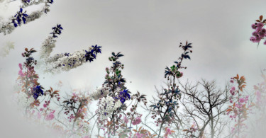 Photography titled "Fleurs d'hiver" by Michel Guillaumeau, Original Artwork, Manipulated Photography