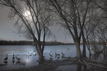 Fotografia intitulada "Clair de Lune" por Michel Guillaumeau, Obras de arte originais, Fotografia digital