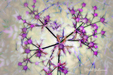 Digital Arts titled "Flore d'artifice" by Michel Guillaumeau, Original Artwork, Digital Painting