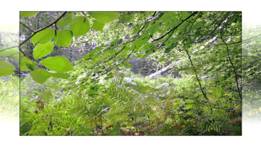 Photographie intitulée "Forêt vivante" par Michel Guillaumeau, Œuvre d'art originale, Photographie numérique