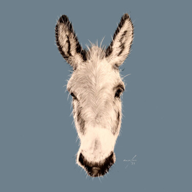 Dibujo titulada "anim ¦ donkey" por Rupert Cefai, Obra de arte original, Carbón