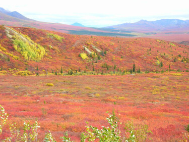 Grafika cyfrowa / sztuka generowana cyfrowo zatytułowany „alaska-fall-scene.j…” autorstwa Ruta Sevo, Oryginalna praca