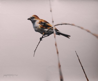 Pintura intitulada "sparrow bird" por Sudipta Karmakar, Obras de arte originais, Aquarela
