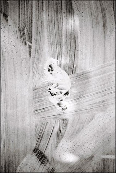 Photographie intitulée "Le penseur anodin" par Saâd Tazi, Œuvre d'art originale
