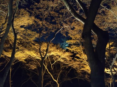 Фотография под названием "Kiyomizu-Dera, lumi…" - Sabrina Timsit, Подлинное произведение искусства, Цифровая фотография