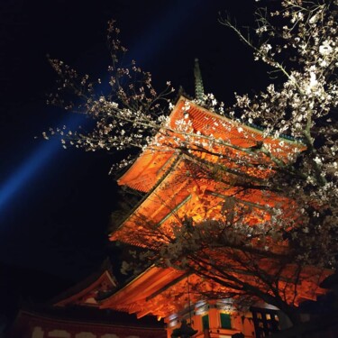 Photographie intitulée "Scarlet Pagoda" par Sabrina Timsit, Œuvre d'art originale, Photographie numérique