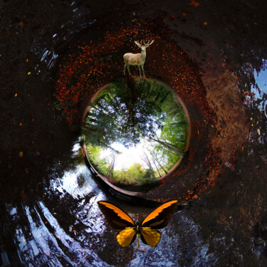 Arts numériques intitulée "Planète Papillon" par Sadim, Œuvre d'art originale, Photographie numérique