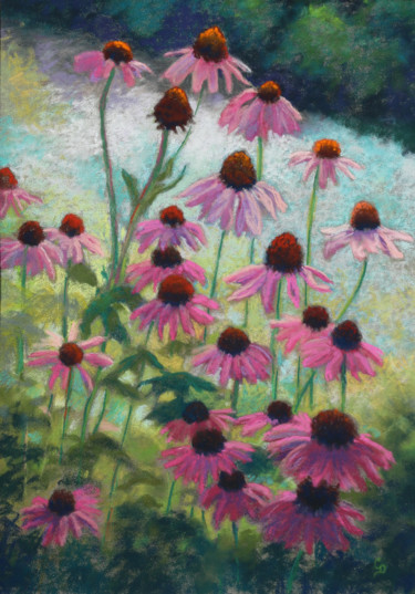 Painting titled "Echinacea (Cone Flo…" by Chris Derrick, Original Artwork, Pastel