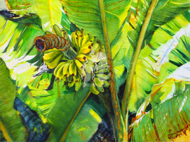 Pittura intitolato "Bananas" da Samira Yanushkova, Opera d'arte originale, Acquarello