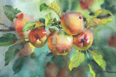 Ζωγραφική με τίτλο "Apples" από Samira Yanushkova, Αυθεντικά έργα τέχνης, Ακουαρέλα