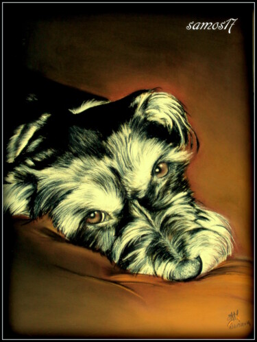 Drawing titled "chien dessiné au pa…" by Samos17 Portraitiste, Original Artwork, Pastel