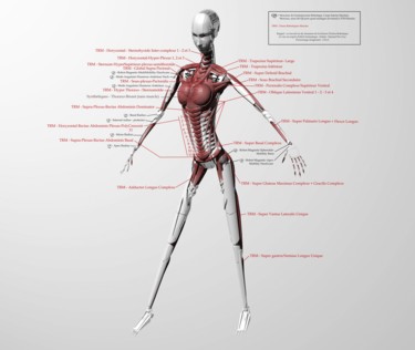 "virtuality-ciaa-fir…" başlıklı Dijital Sanat Samuel De Cruz tarafından, Orijinal sanat, 3D modelleme