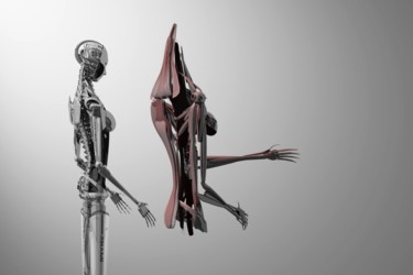 Digital Arts titled "ANAMI - anatomy.jpg" by Samuel De Cruz, Original Artwork, 3D Modeling