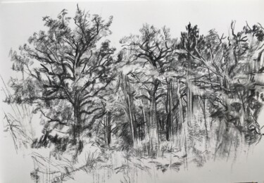 Рисунок под названием "Depuis la clairière" - Sandra Fléchet, Подлинное произведение искусства, Древесный уголь