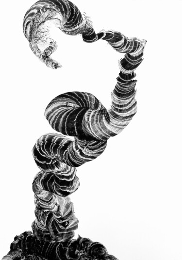 「Wachstum III」というタイトルの描画 Sandra Ludwigによって, オリジナルのアートワーク, インク