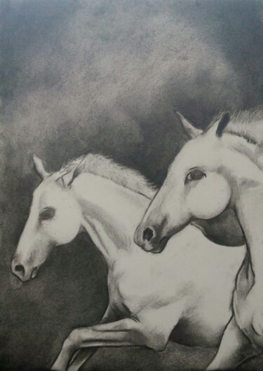 Σχέδιο με τίτλο "Cavalos / Horses" από Sandra Sousa, Αυθεντικά έργα τέχνης, Κάρβουνο