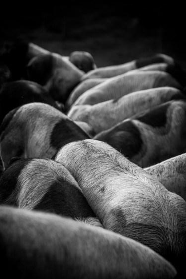 Fotografia zatytułowany „Taches” autorstwa Sandra Clément, Oryginalna praca, Fotografia cyfrowa