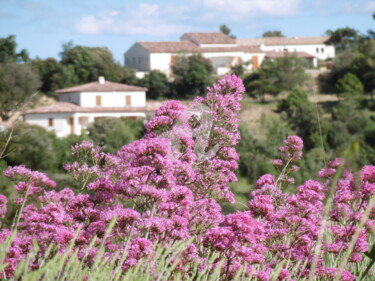 Photographie intitulée "A Beaudinard sur Ve…" par Sandrine N., Œuvre d'art originale, Photographie numérique