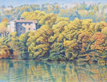 Peinture intitulée "Lyon, le château de…" par Sannier Alain, Œuvre d'art originale, Acrylique Monté sur Châssis en bois