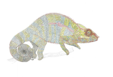 Painting titled "chameleon" by Santiago Restrepo, Original Artwork, Ink