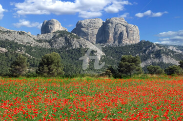 Photography titled "ROQUES DE BENET,  E…" by Santos Merchán, Original Artwork, Digital Photography