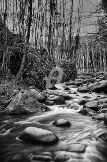 Fotografía titulada "PIRINEOS" por Santos Merchán, Obra de arte original, Fotografía analógica