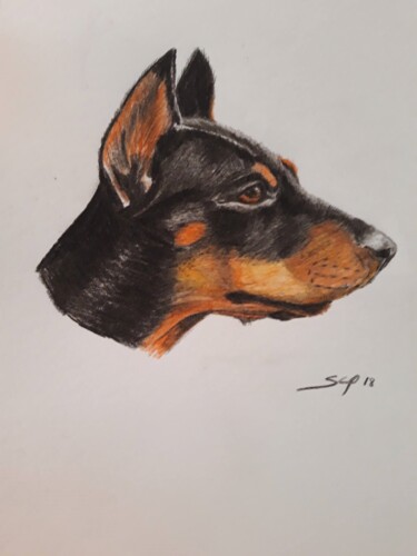 Peinture intitulée "Doberman" par São Vieira, Œuvre d'art originale, Crayon