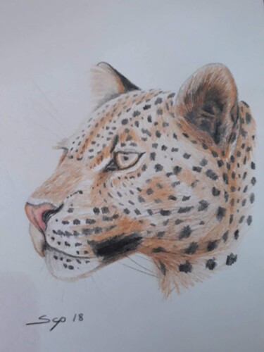 「Leopard」というタイトルの絵画 São Vieiraによって, オリジナルのアートワーク, 鉛筆