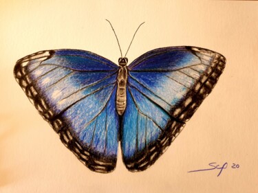 Malarstwo zatytułowany „Blue butterfly” autorstwa São Vieira, Oryginalna praca, Ołówek