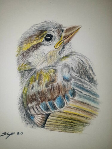 Peinture intitulée "Little bird" par São Vieira, Œuvre d'art originale, Crayon
