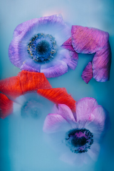 "Ephemeral Flowers #1" başlıklı Fotoğraf Sara Gentilini tarafından, Orijinal sanat, Dijital Fotoğrafçılık