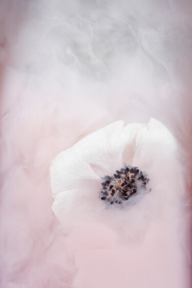 Fotografie getiteld "Ephemeral Flowers #3" door Sara Gentilini, Origineel Kunstwerk, Digitale fotografie