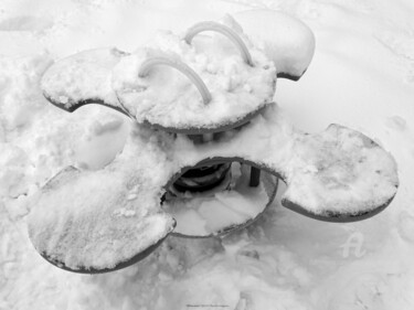"White winter" başlıklı Fotoğraf Sarah Leseigneur tarafından, Orijinal sanat, Dijital Fotoğrafçılık
