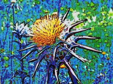 Photographie intitulée "Fleur nature" par Sara Raquel Sarangello, Œuvre d'art originale, Photographie manipulée