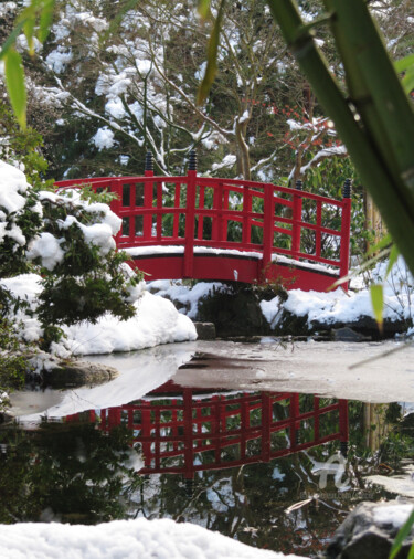 Fotografia intitolato "Jardin japonais sou…" da Sarcie, Opera d'arte originale, Fotografia digitale