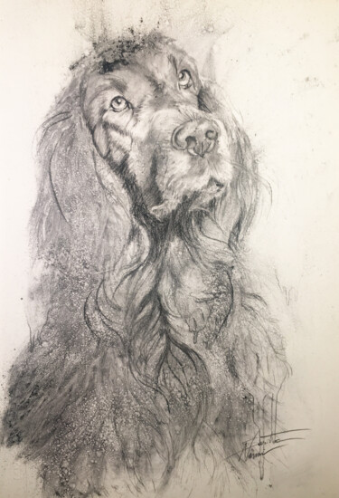 Schilderij getiteld "IRISH SETTER" door Sarita Nanni, Origineel Kunstwerk, Houtskool