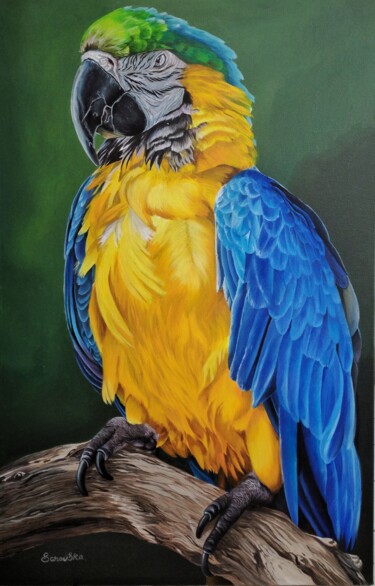 Pittura intitolato "Папуга  (Ара)" da Sarovska, Opera d'arte originale, Olio