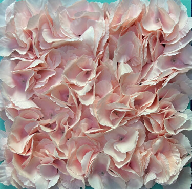 Pintura intitulada "Powder pink roses" por Sasha Robinson, Obras de arte originais, Colagens