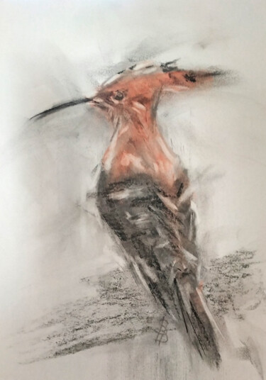 Рисунок под названием "Hoopoe I" - Sbboursot, Подлинное произведение искусства, Древесный уголь