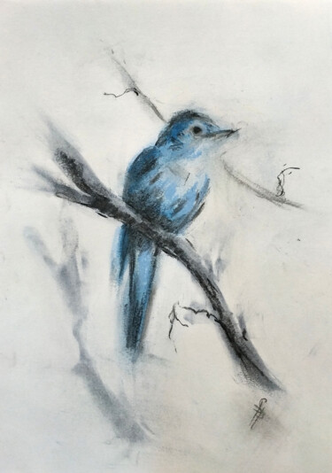 Dessin intitulée "Nightingale" par Sbboursot, Œuvre d'art originale, Fusain