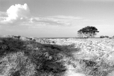 Φωτογραφία με τίτλο "Beach dune - Angour…" από Scott Gregory Banner, Αυθεντικά έργα τέχνης, Φωτογραφική ταινία