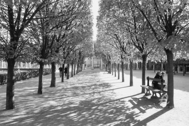 Fotografia zatytułowany „Palais Royal - Pari…” autorstwa Scott Gregory Banner, Oryginalna praca, Fotografia filmowa