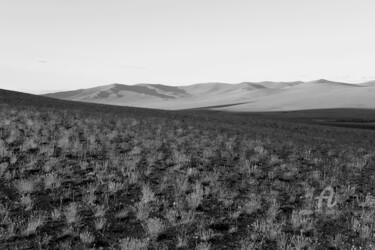 Fotografia intitulada "Grass and hills - B…" por Scott Gregory Banner, Obras de arte originais, Fotografia digital