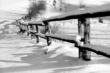Fotografía titulada "Snow covered field…" por Scott Gregory Banner, Obra de arte original, Fotografía analógica