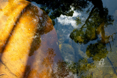 Fotografie getiteld "Rock pool reflectio…" door Scott Gregory Banner, Origineel Kunstwerk, Digitale fotografie