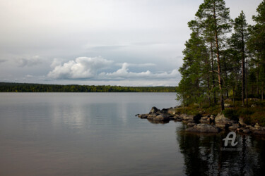 Fotografie getiteld "Lake and pine fores…" door Scott Gregory Banner, Origineel Kunstwerk, Digitale fotografie