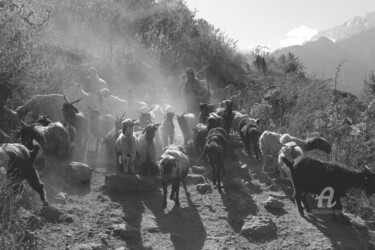 Fotografia zatytułowany „Mountain goats and…” autorstwa Scott Gregory Banner, Oryginalna praca, Fotografia cyfrowa
