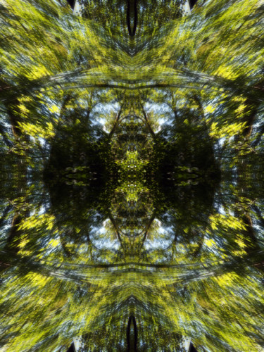 Digitale Kunst getiteld "Forest Abstract 1" door Kenneth Grzesik, Origineel Kunstwerk, Digitaal Schilderwerk