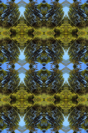 Цифровое искусство под названием "Forest Abstract 9" - Kenneth Grzesik, Подлинное произведение искусства, Цифровая живопись